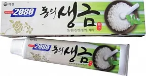 Зубная паста DC 2080 Cheong-en-cha Лечебные травы и биосоли 120 мл